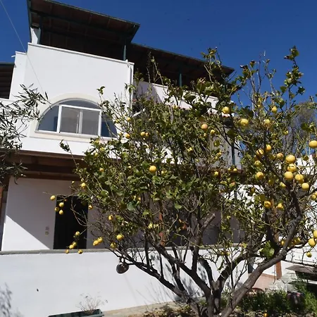Bernie House 2 *